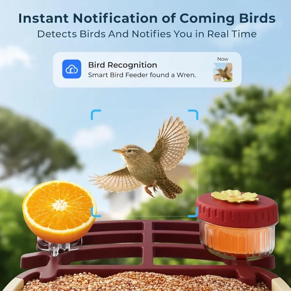 NWT-Bird Feeder with Camera and Solar Panel